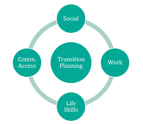 Transition planning visual